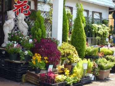 「フローリストさんすい園」　（熊本県葦北郡芦北町）の花屋店舗写真1