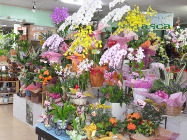 「フローリストさんすい園」　（熊本県葦北郡芦北町）の花屋店舗写真2